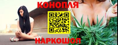 шишки Жуковский