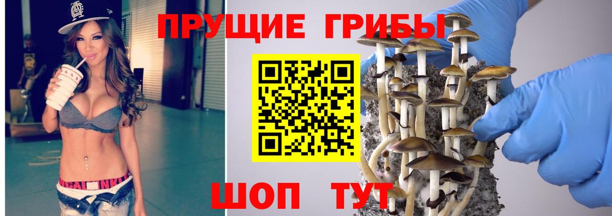 Мурино  Псилоцибиновые грибы ЛСД  Вход с VPN 